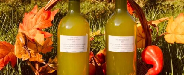 Autunno: tempo di castagne e vino nuovo
