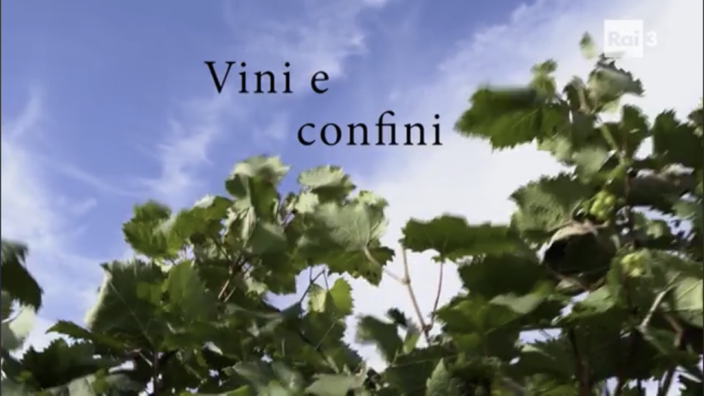 Vini e confini
