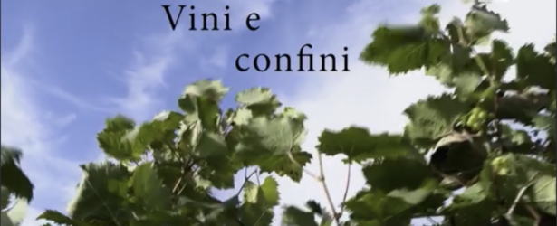 Vini e confini